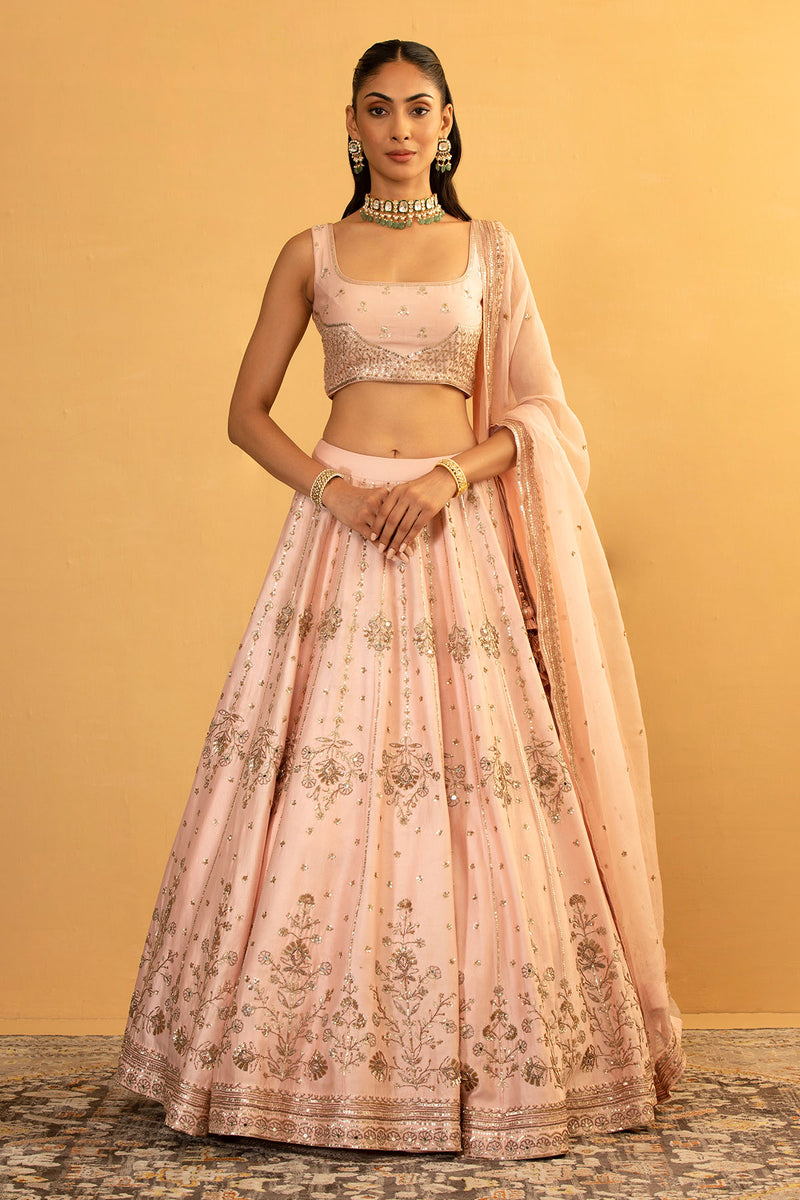 CY Esha Koul Pink Lehenga Set Front 1