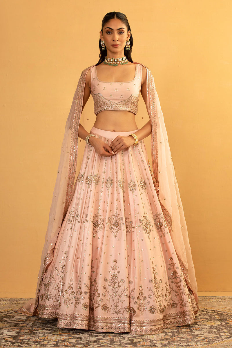 CY Esha Koul Pink Lehenga Set Front 2