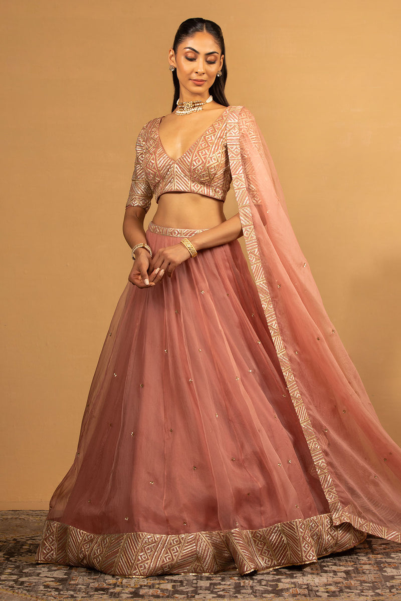 CY Esha Koul Onion Pink Lehenga Set Front 1