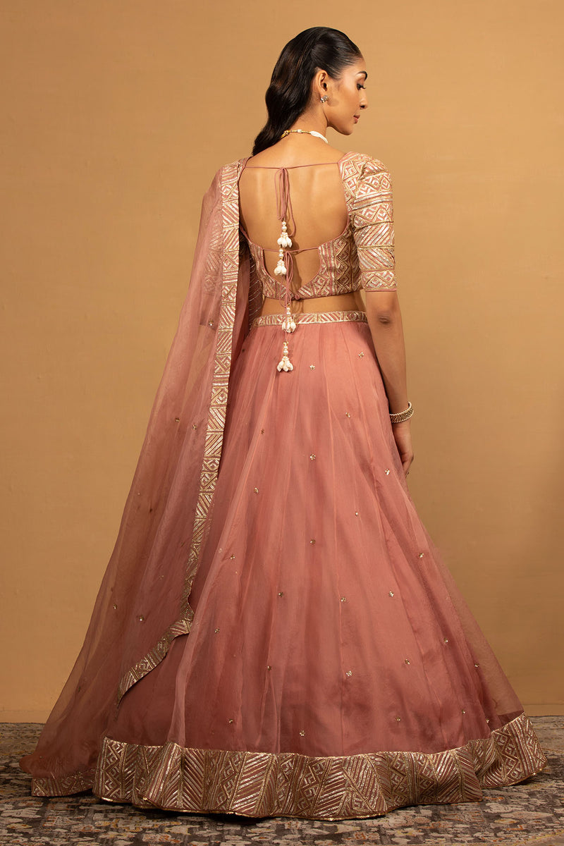 CY Esha Koul Onion Pink Lehenga Set Back 1