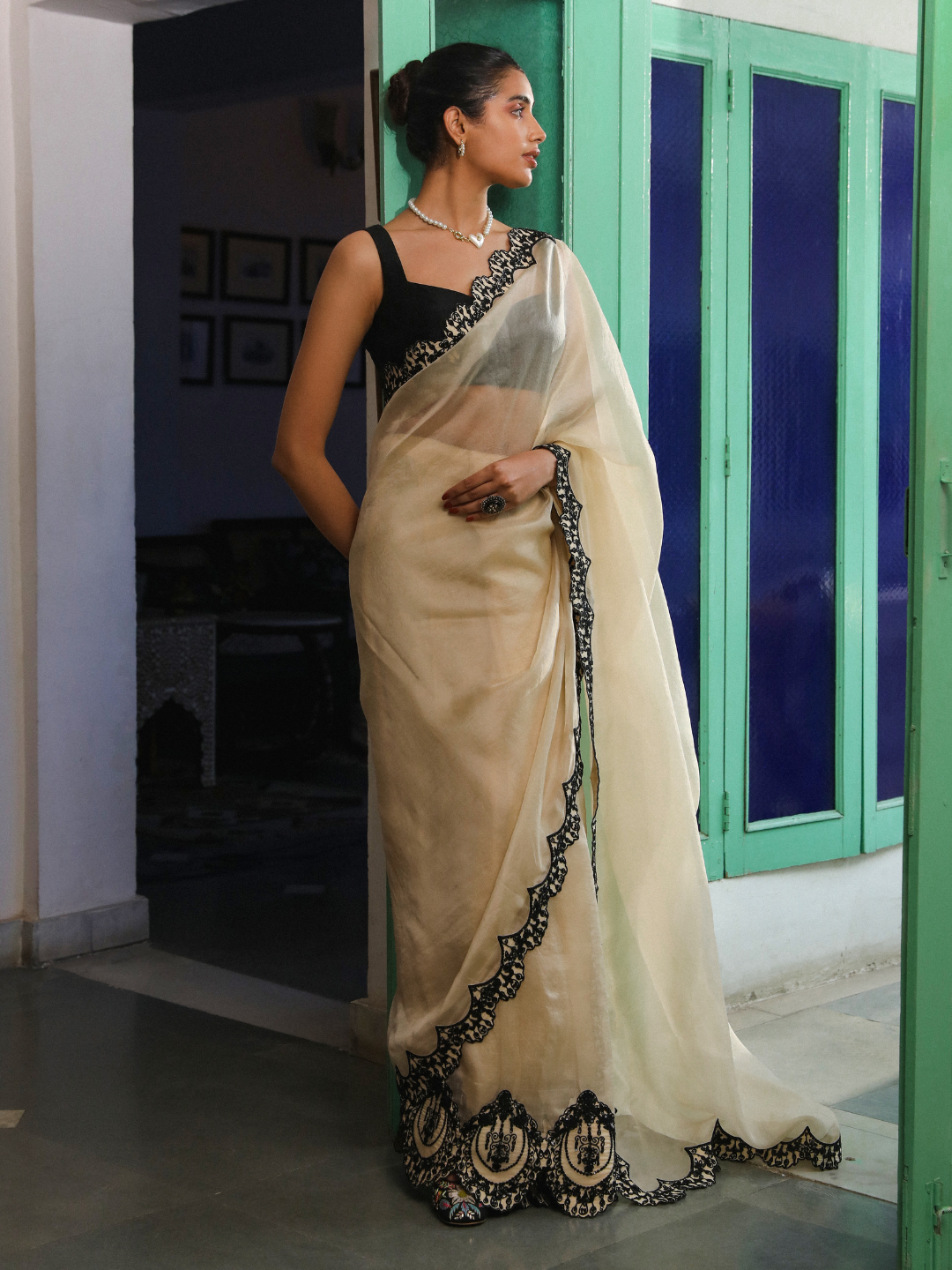 Pasbaan Saree Set