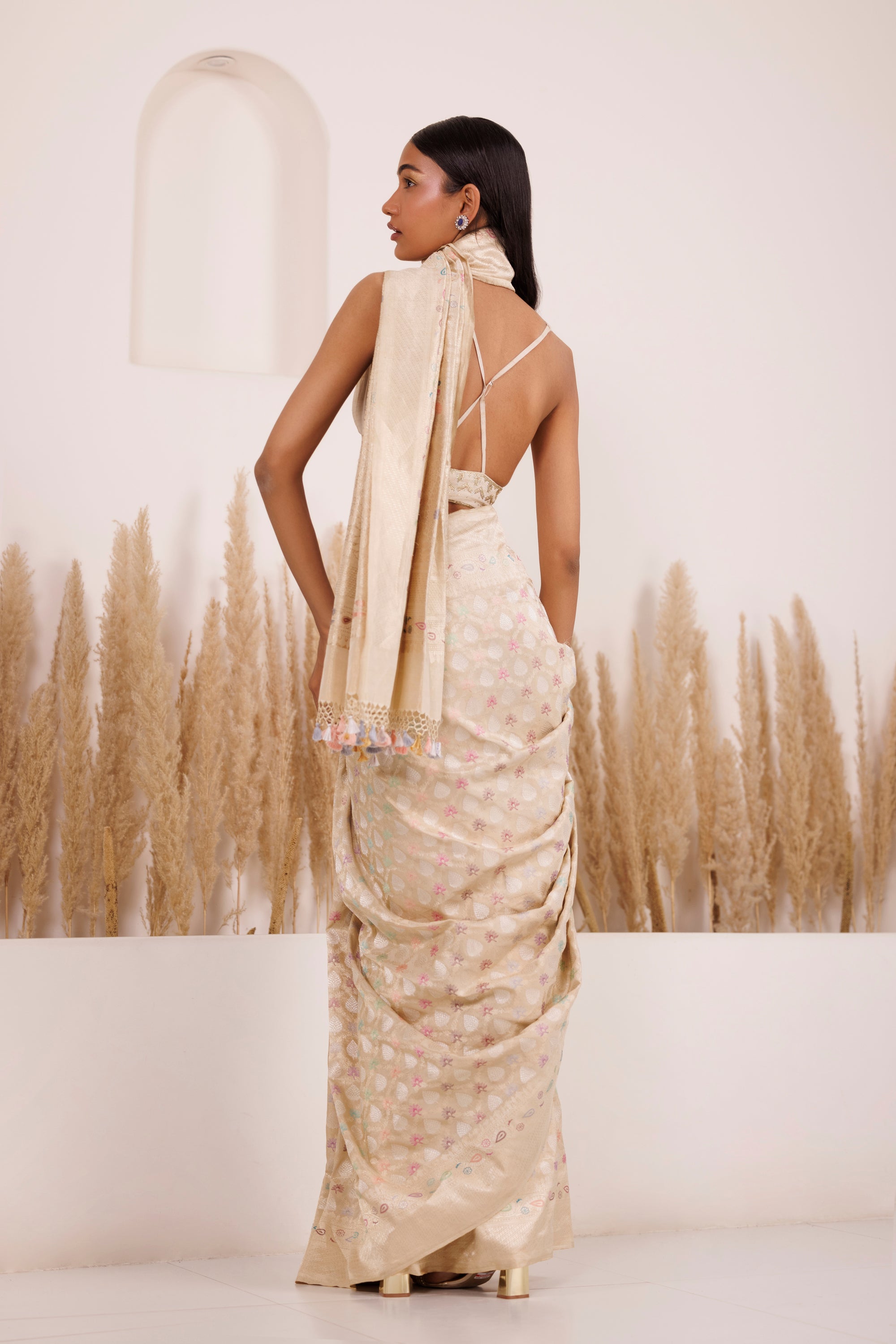 CY Chhaya Mehrotra Falguni Saree Back 1