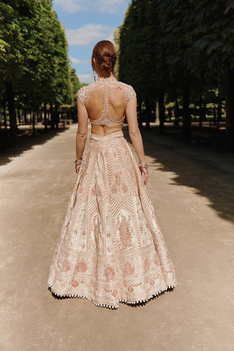 Rust Embroidered lehenga Set