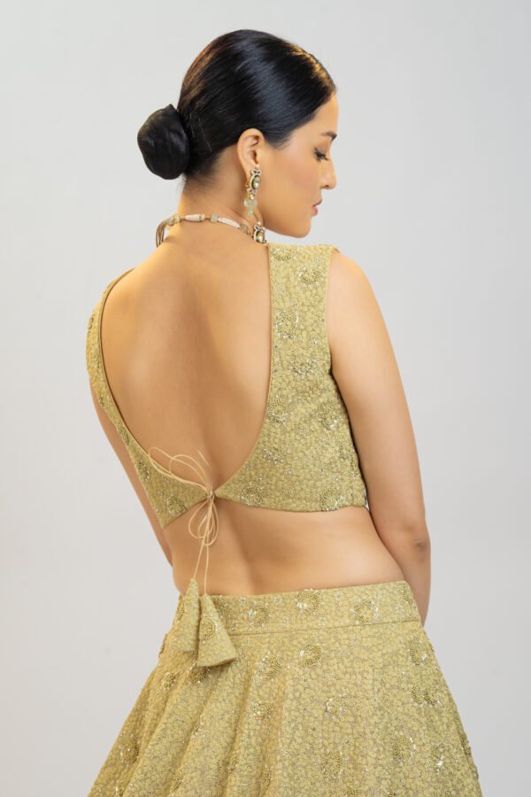 CY Kavita Agarwal Antique Gold Lehenga Set Closeup 2