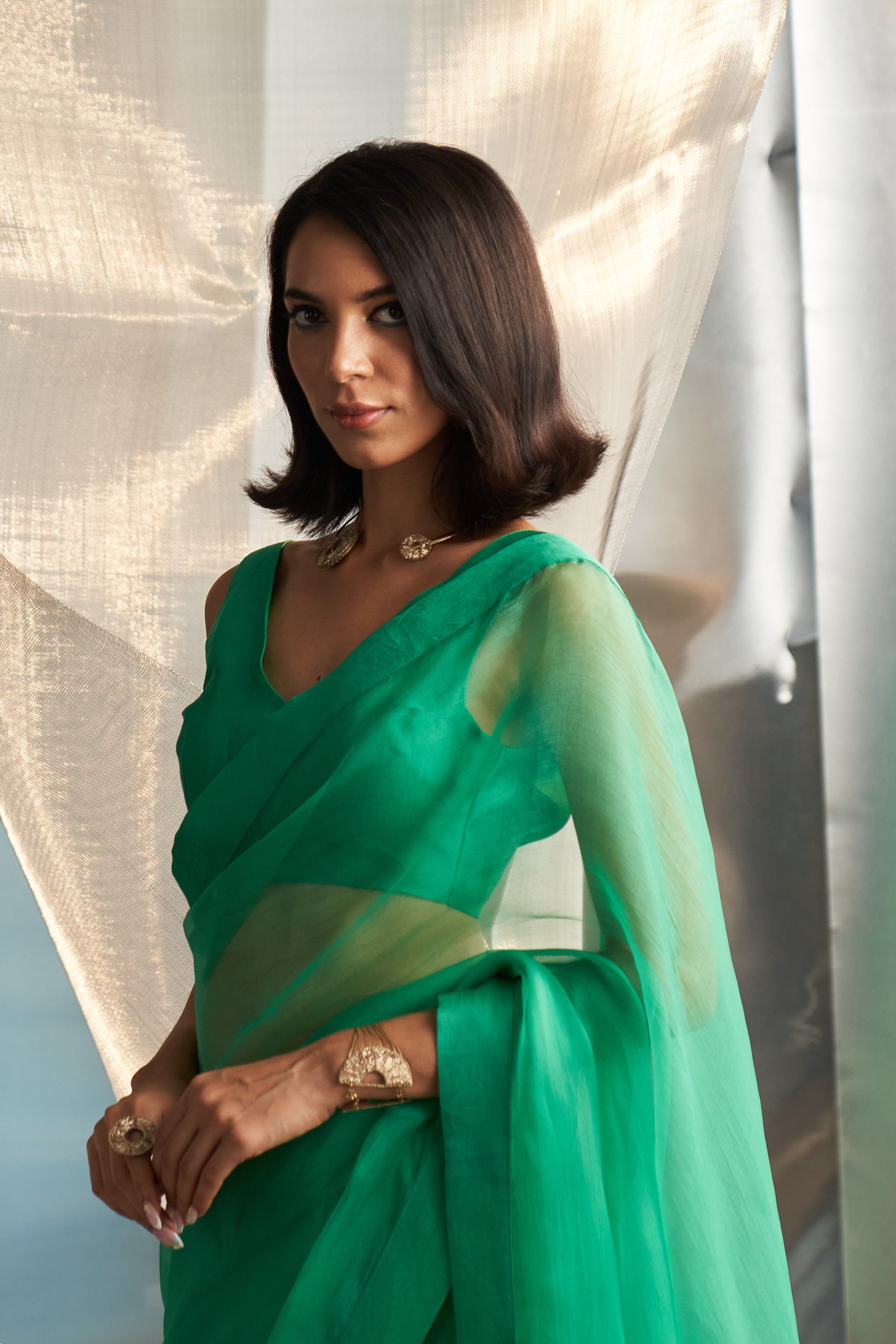 CY Charkhee Lush Green Saree With Lush Green Sleeveless Blouse Closeup 1