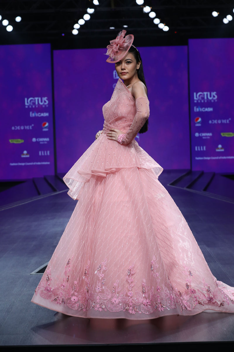Amit GT - Light pink ball gown with bird motif 