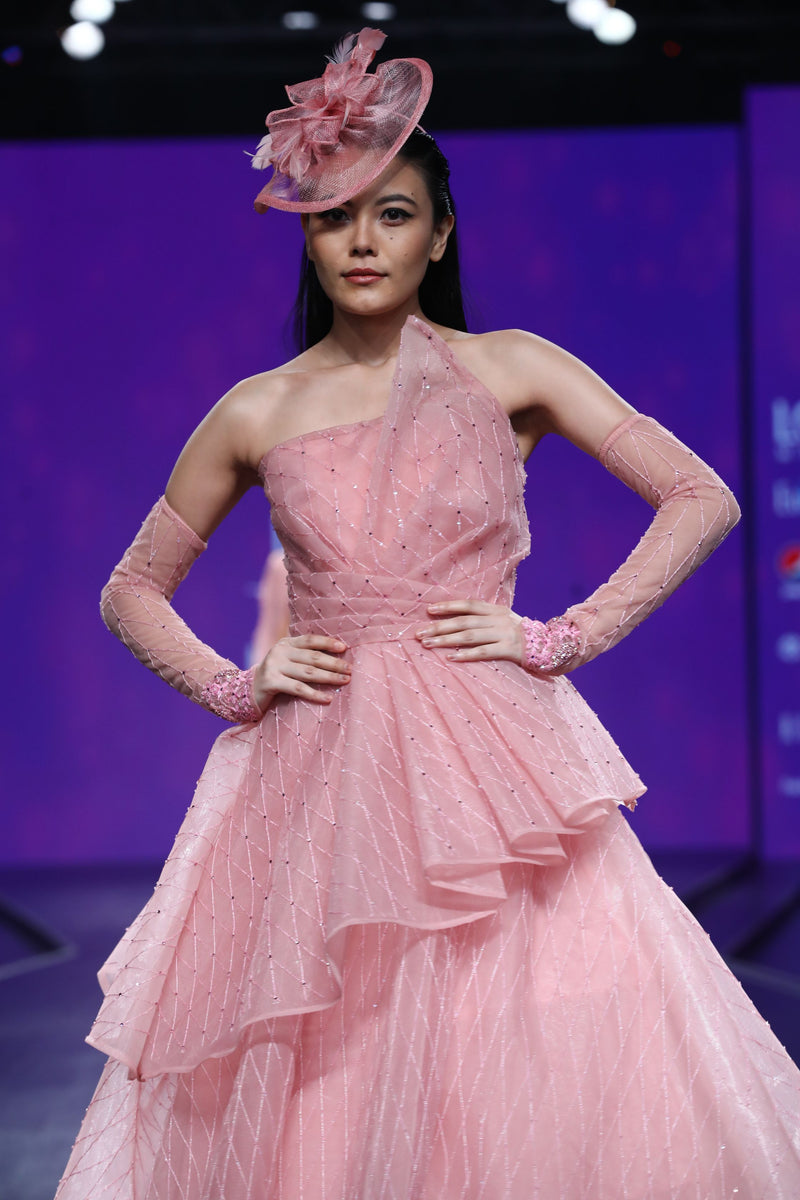 Amit GT - Light pink ball gown with bird motif 