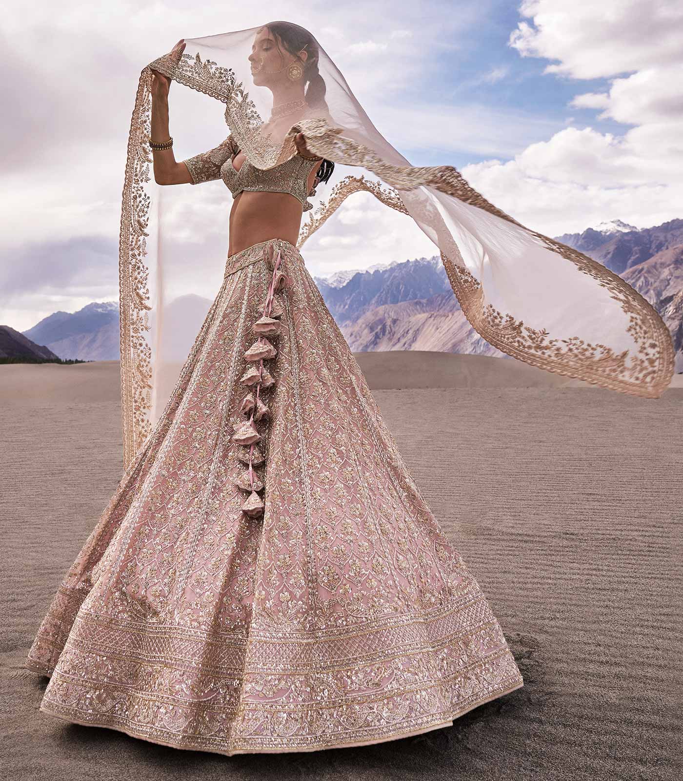 Sia Embroidered Lehenga Set