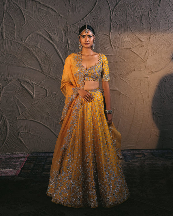 Anushree Reddy - Aadhya - Mustard Yellow Embroidered Lehenga Set