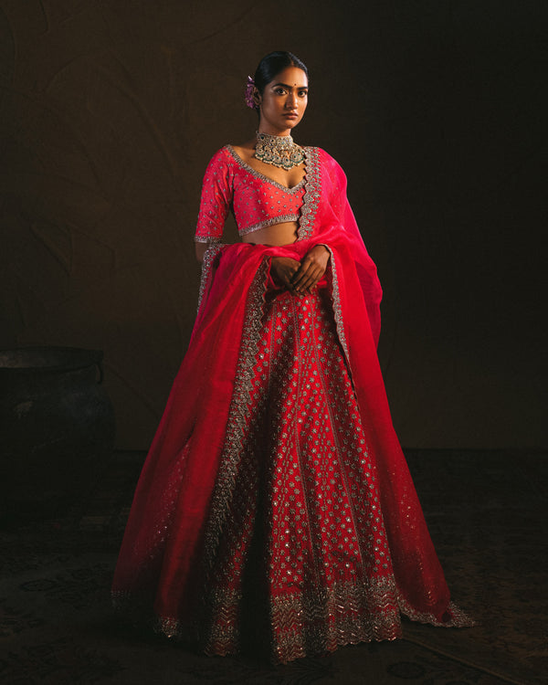 Anushree Reddy - Amaya - Pink Embroidered Lehenga Set