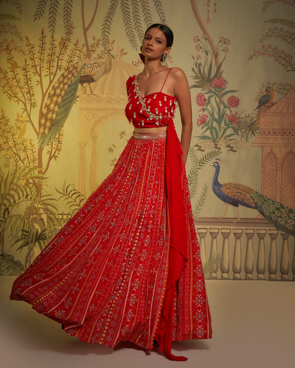 Aayushi Maniar - Red Crepe Silk Patola Print Lehenga And Blouse Set