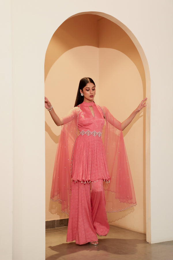 Vidushi Gupta - Arushi - Punch Pink Chiffon & Net Pant Set